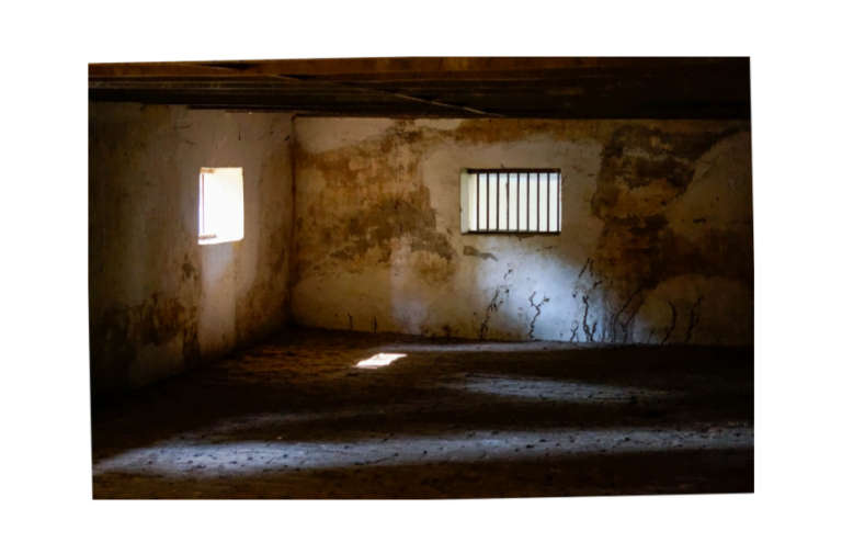 #11 Boekendief.nl top 100: De graaf van Monte Cristo - Alexandre Dumas